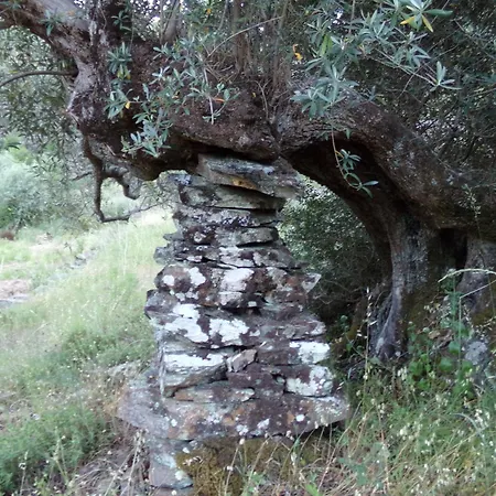 Ferienhaus Casas Dos Carregais