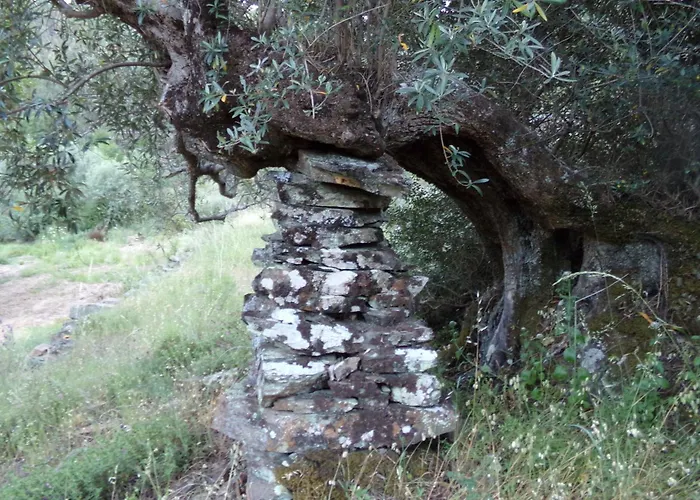 بيت للعطل Casas Dos Carregais